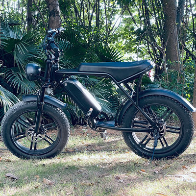Potente 750W V8 Motor 20 polegadas Fat pneu bicicleta de montanha elétrica com 48V 15ah bateria