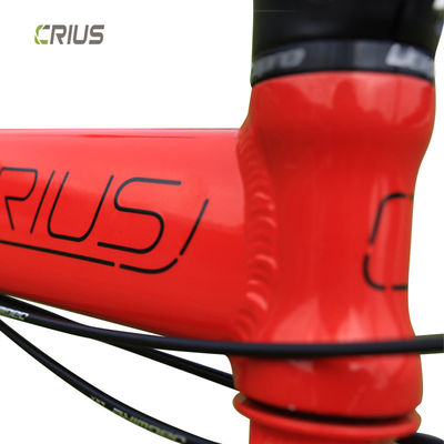 20 polegadas Crius bicicleta dobrável V freio e 9 velocidades A combinação perfeita para exercícios ao ar livre