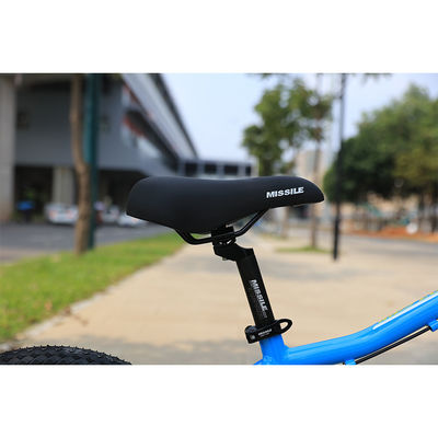 Criança de bicicleta de estrutura de aço de meninas com garfo de suspensão e sem rodas de treinamento
