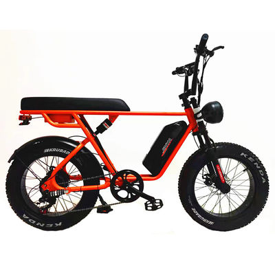 Aventura ao ar livre 20*4.0 Kenda Fat Tire Double Disc Brake Mountain Bike para Adolescentes