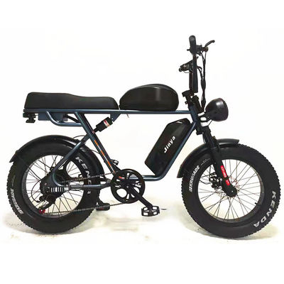 Aventura ao ar livre 20*4.0 Kenda Fat Tire Double Disc Brake Mountain Bike para Adolescentes