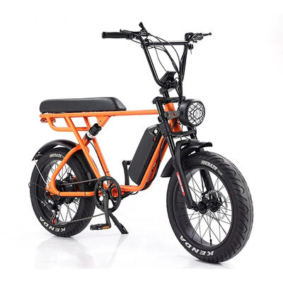 Aventura ao ar livre 20*4.0 Kenda Fat Tire Double Disc Brake Mountain Bike para Adolescentes