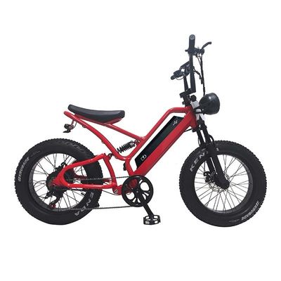 E-bike Fat Tire 48V10Ah Bateria de lítio Velocidade 500W Brushless Spoke Motor para motos de neve