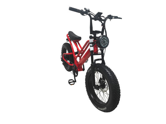 E-bike Fat Tire 48V10Ah Bateria de lítio Velocidade 500W Brushless Spoke Motor para motos de neve