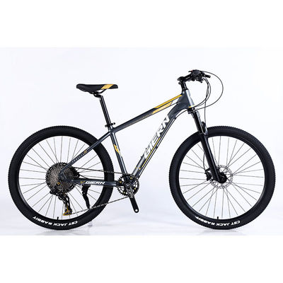 Fabricação de bicicletas de montanha de 12 velocidades com aro de parede dupla e design clássico