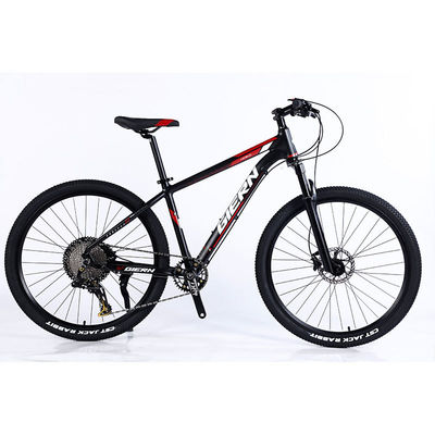 Fabricação de bicicletas de montanha de 12 velocidades com aro de parede dupla e design clássico