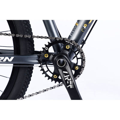 Fabricação de bicicletas de montanha de 12 velocidades com aro de parede dupla e design clássico