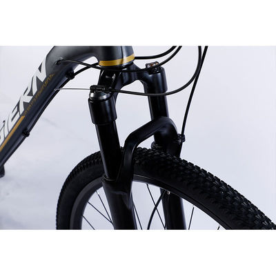 Fabricação de bicicletas de montanha de 12 velocidades com aro de parede dupla e design clássico