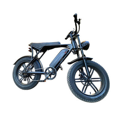 E-Bike de praia de neve elétrico com freio de disco duplo e bateria de lítio