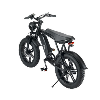 E-Bike de praia de neve elétrico com freio de disco duplo e bateria de lítio