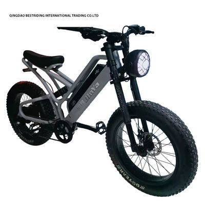Bicicleta elétrica de travagem de disco mecânico 48v 500w Bicicleta elétrica de motor 2 rodas 20 polegadas Pneus gordos