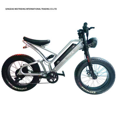 Bicicleta elétrica de travagem de disco mecânico 48v 500w Bicicleta elétrica de motor 2 rodas 20 polegadas Pneus gordos