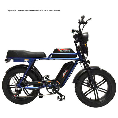 Bicicleta elétrica personalizada de 48V 1000W 20 polegadas de pneu gordo e 52V Bateria de lítio carregador