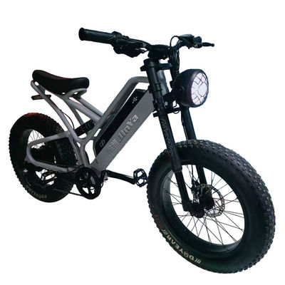 Pneus Eletrônicos de Gordura Bicicleta Elétrica Pneus de Gordura de 20 polegadas 500w Ebike 48v com Smart Type