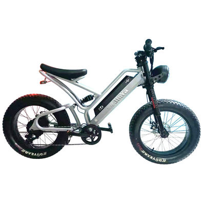 Pneus Eletrônicos de Gordura Bicicleta Elétrica Pneus de Gordura de 20 polegadas 500w Ebike 48v com Smart Type
