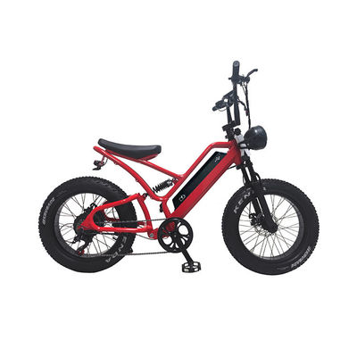 Pneus Eletrônicos de Gordura Bicicleta Elétrica Pneus de Gordura de 20 polegadas 500w Ebike 48v com Smart Type