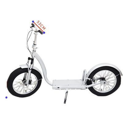 Experimente o último passeio com o nosso scooter de suspensão dianteira e traseira