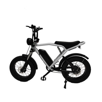 Motor do centro traseiro 20*4,0' Pneus gordos Bicicleta elétrica E-Bike para o mercado