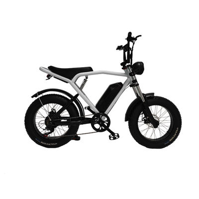 Motor do centro traseiro 20*4,0' Pneus gordos Bicicleta elétrica E-Bike para o mercado