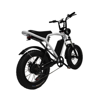 Motor do centro traseiro 20*4,0' Pneus gordos Bicicleta elétrica E-Bike para o mercado