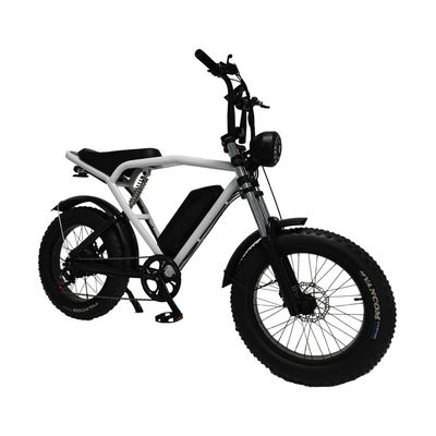 Motor do centro traseiro 20*4,0' Pneus gordos Bicicleta elétrica E-Bike para o mercado