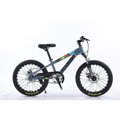 20 "Crianças Bicicleta Crianças Bike Bicicleta de velocidade única Bicicleta com garfo de suspensão de aço