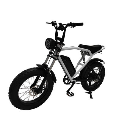 Off-Road 20*4.0 Kenda Tire Electric Bike para viagens emocionantes e transporte rápido