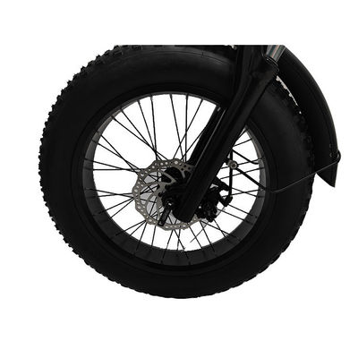 Off-Road 20*4.0 Kenda Tire Electric Bike para viagens emocionantes e transporte rápido