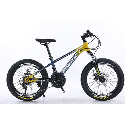 20" 21s Kids Bike Bicicleta infantil com logotipo personalizado e material de borda de liga de alumínio