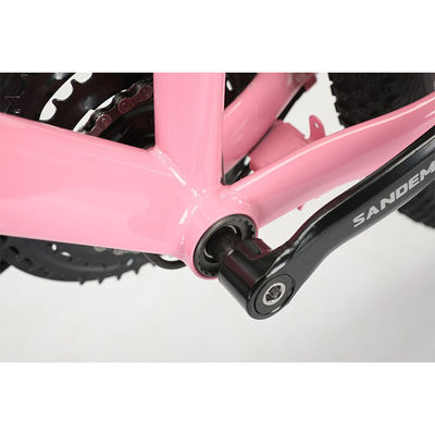 Quadro de aço 20 polegadas WANDA 20 * 2.125 pneus Crianças bicicleta para durável 21 velocidades MTB