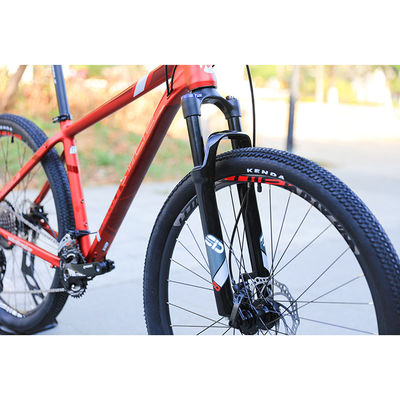 Dimensões personalizadas de bicicleta de exercício 29 polegadas de bicicleta de montanha com 22 engrenagens de velocidade e soldas suaves