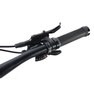 27 Velocidades Velocidade de Design Adulto 700 * 35C Flat Bar Road Bike com garfo de liga personalizável