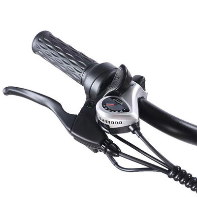Frente 24 traseiro 20 pneu de neve triciclo elétrico com SHIMANO traseiro 7-velocidade e bateria 48V15A