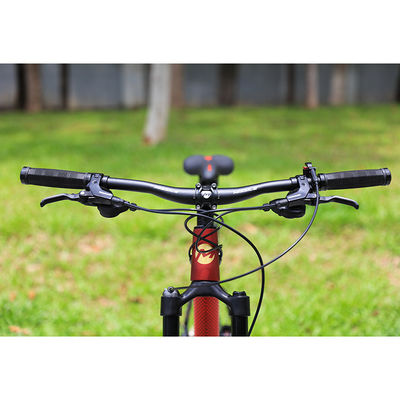 Bicicleta de montanha de 29 polegadas com garfo dianteiro de fibra de carbono de 22 velocidades e freios de disco hidráulico