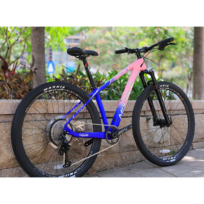 12 Velocidade de Baixada de Mountain Bike com Sunshine 11-50T Cassete e Alumínio Alloy Forks