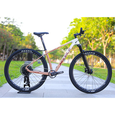 Bicicleta de montanha de liga de freio de disco hidráulico com rodas grandes de 29 polegadas e pastilha de freio de 160 mm