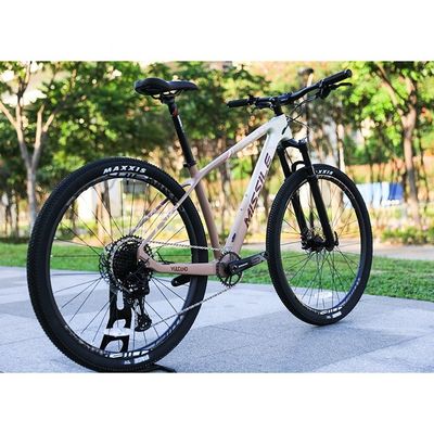 Bicicleta de montanha de 29 polegadas de alumínio com freio de disco hidráulico e suspensão dianteira
