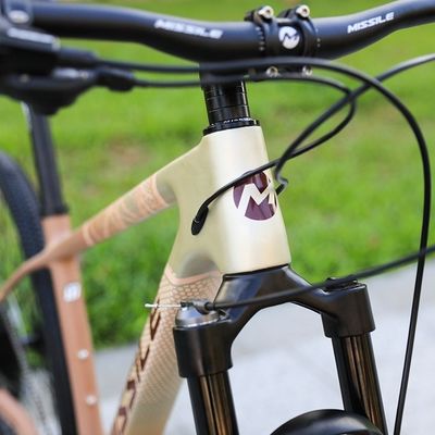 Bicicleta de montanha de 29 polegadas de alumínio com freio de disco hidráulico e suspensão dianteira