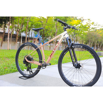 29 polegadas MTB Mountainbike Fibra de carbono Quadro duro Mountain Bike Bicicletas de velocidade