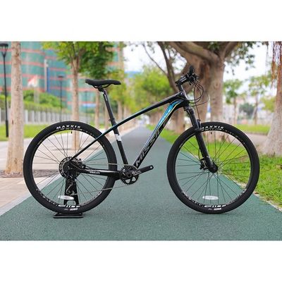 Bicicletas 29 polegadas MTB Mountain Bike Bicicleta Bicicleta com material de garfo de liga de alumínio