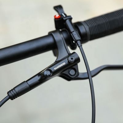 29 polegadas de suporte OEM Mountain Bike com YBN S12S Chain 12 Speed MTB 2022 Hard Frame
