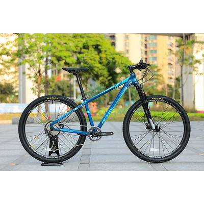 29er Speed Mountain Bike com moldura personalizada de fibra de carbono e roda dianteira TEN-M601 Crankset