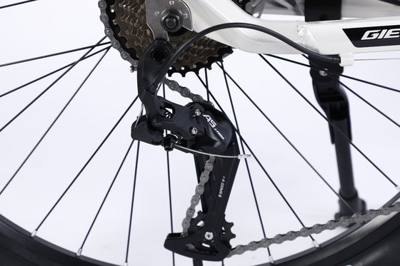 Large Bike Mountain Race Mountain Bike Speed com Al Cassette Hub para Dsic Brake