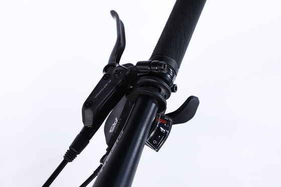 Bicicleta Ininterrupta Bicicleta de Montanha com Sus Fork Fork e Cassete para disco de freio Hub