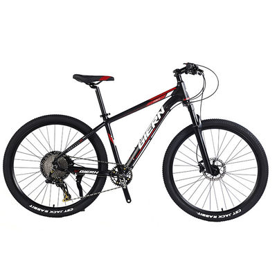 Bicicleta de montanha de fibra de carbono personalizada com Ltwoo A12 12s Gear 26/27.5/29 polegadas