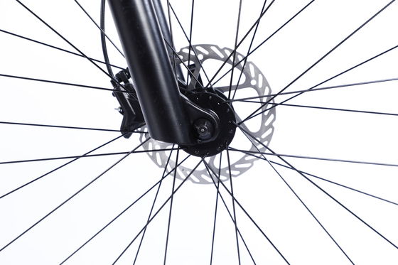 Bicicleta de montanha de fibra de carbono personalizada com Ltwoo A12 12s Gear 26/27.5/29 polegadas