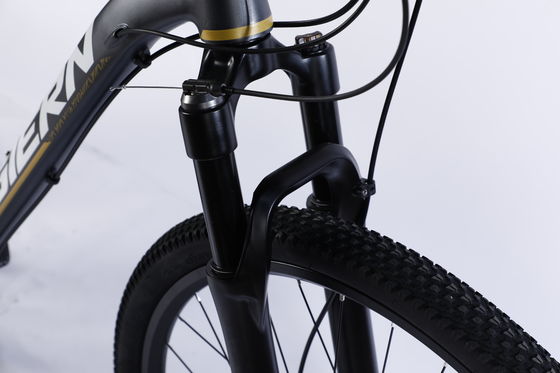 Bicicleta de montanha de fibra de carbono personalizada com Ltwoo A12 12s Gear 26/27.5/29 polegadas