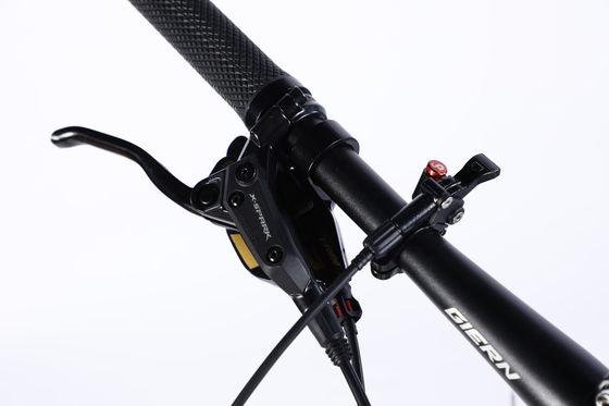 Bicicleta de montanha de fibra de carbono personalizada com Ltwoo A12 12s Gear 26/27.5/29 polegadas