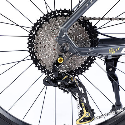 Bicicleta de montanha de fibra de carbono personalizada com Ltwoo A12 12s Gear 26/27.5/29 polegadas
