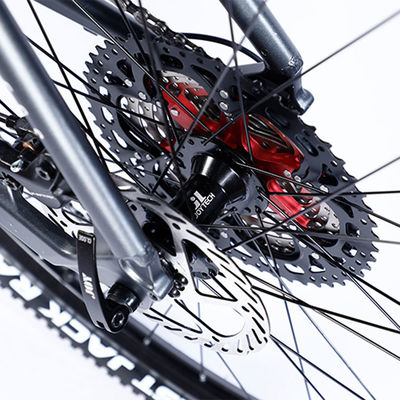 Bicicleta de montanha de fibra de carbono personalizada com Ltwoo A12 12s Gear 26/27.5/29 polegadas